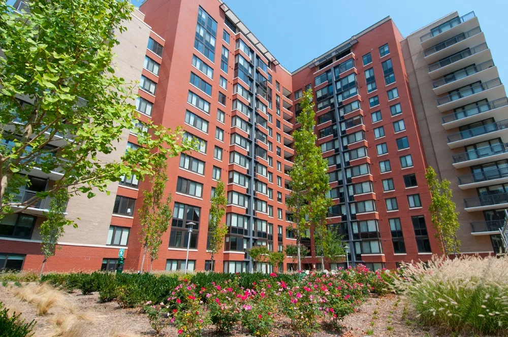 Courtyard with bushes and trees